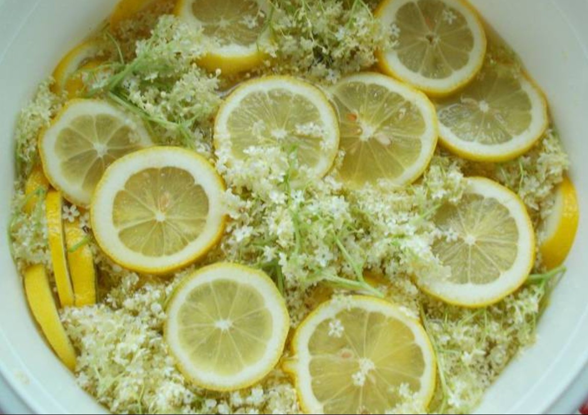 egyszerű bodzaszörp recept - Hozzávalók