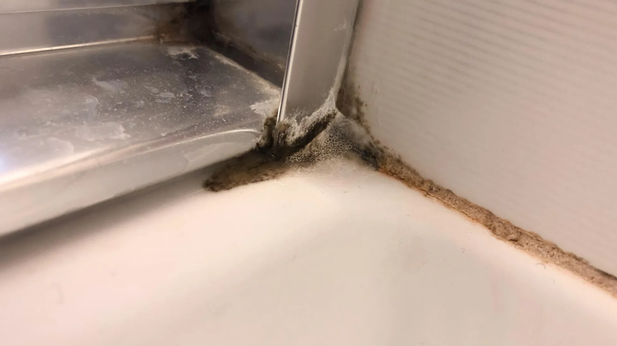 Fekete penész a zuhanyzóban – így szabadulhatsz meg tőle