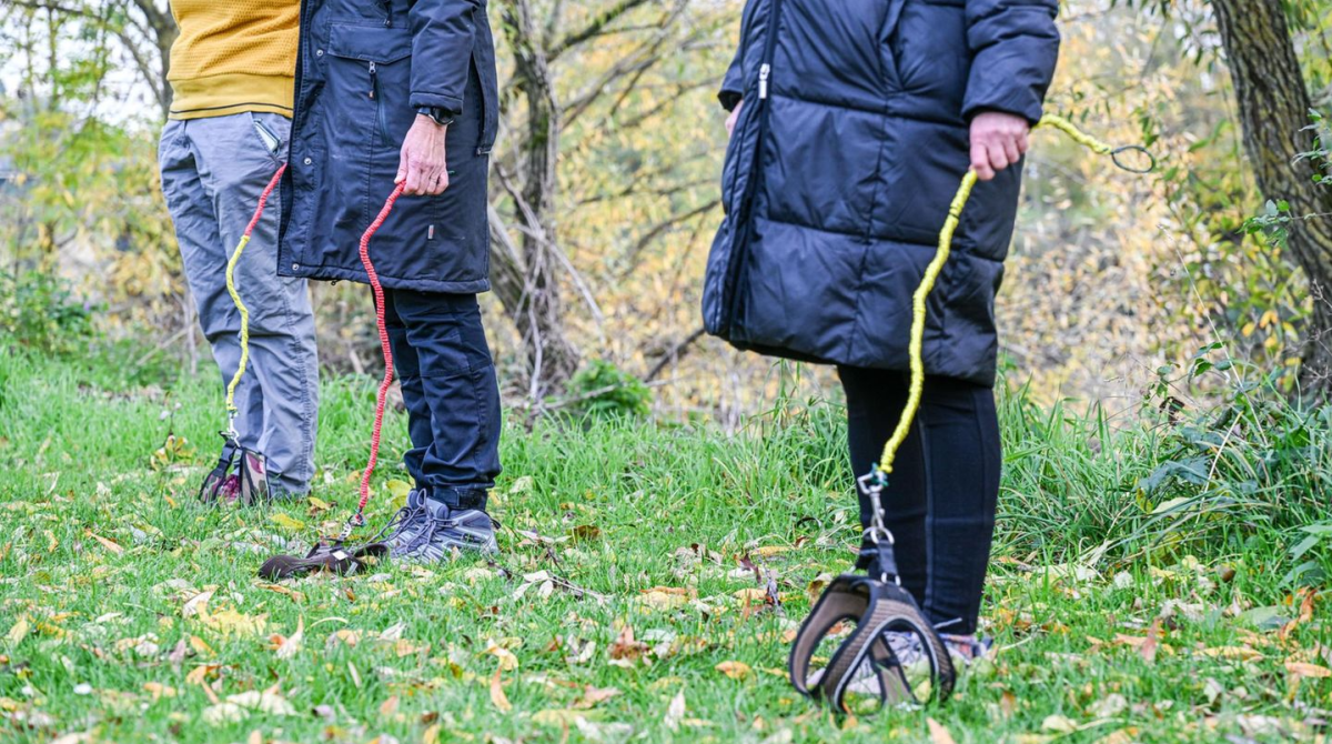 Kutyasétáltatás kutya nélkül? Igen, ez valóban létezik