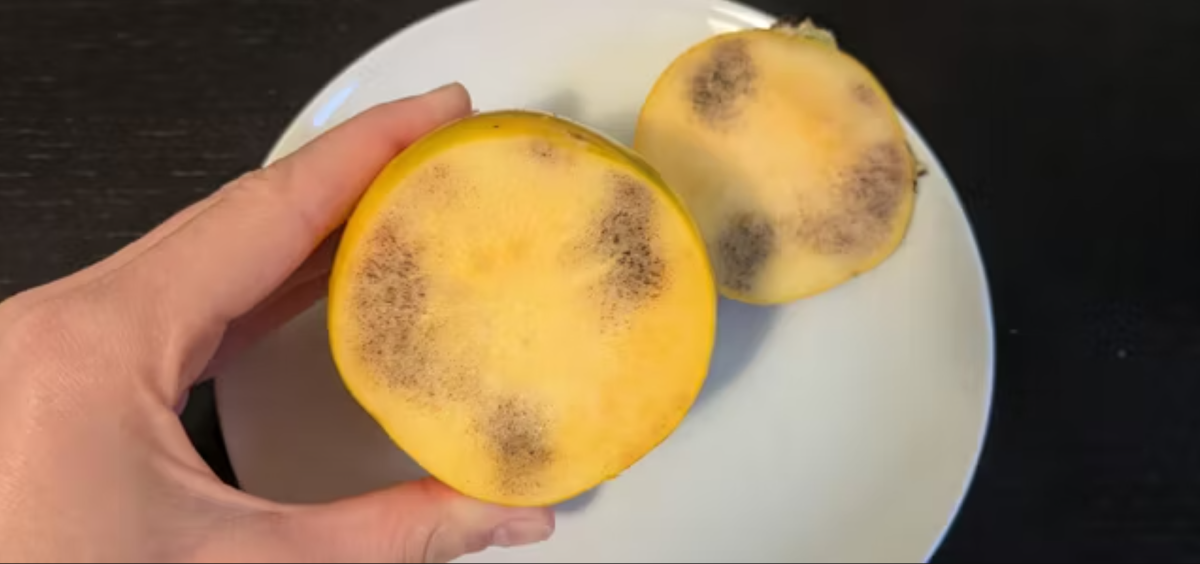 Sötét foltok a datolyaszilván: ki kell dobni, vagy még ehető?